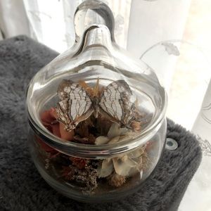 Vintage Butterfly And Dried Flower Arrangement in Glass Jar -Taxidermy Oddities